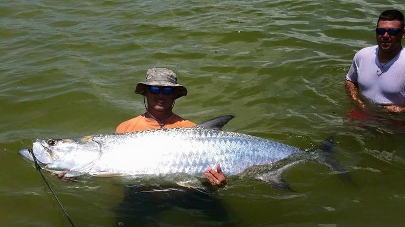 Tampa Fishing Charters | Tarpon Fishing