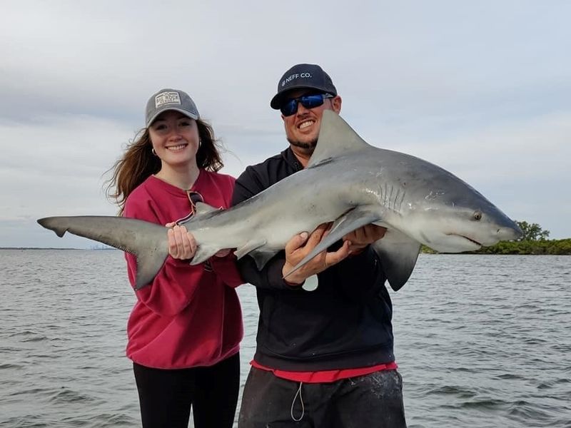 Fishing Charter Tampa | Shark Fishing