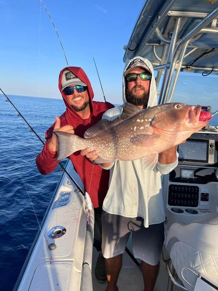 Fishing Charters Tampa Bay- Offshore Charters